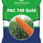 Advanta Pac 745 Seed