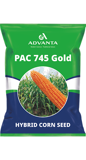Advanta Pac 745 Seed
